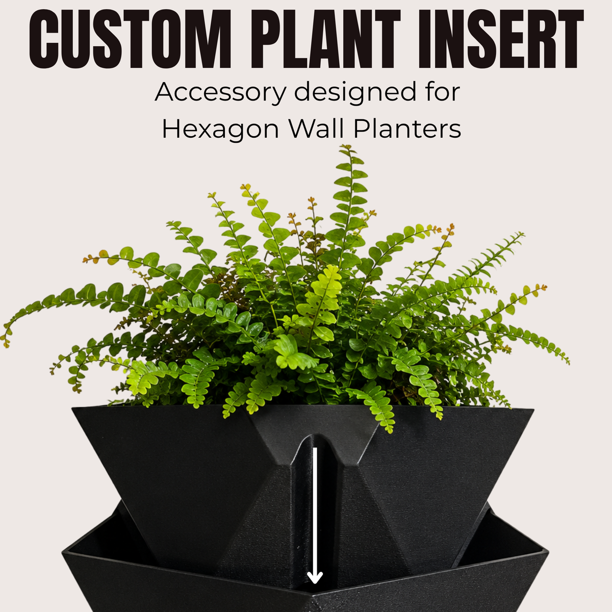 Hexagon Wall Planter