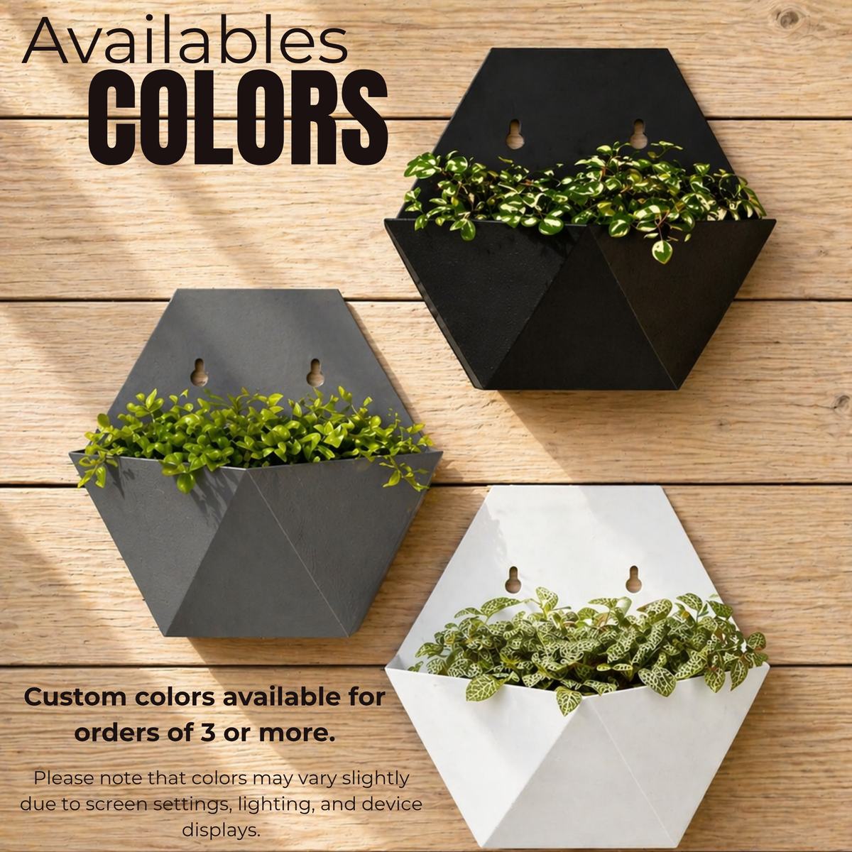 Hexagon Wall Planter